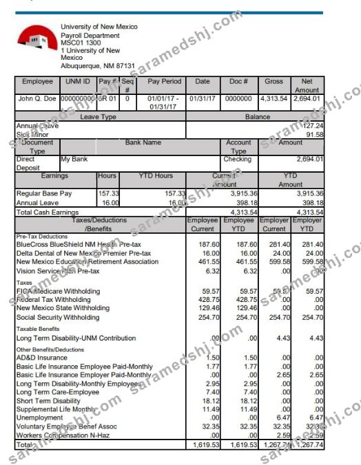 University of New Mexico pay stub Word and PDF template